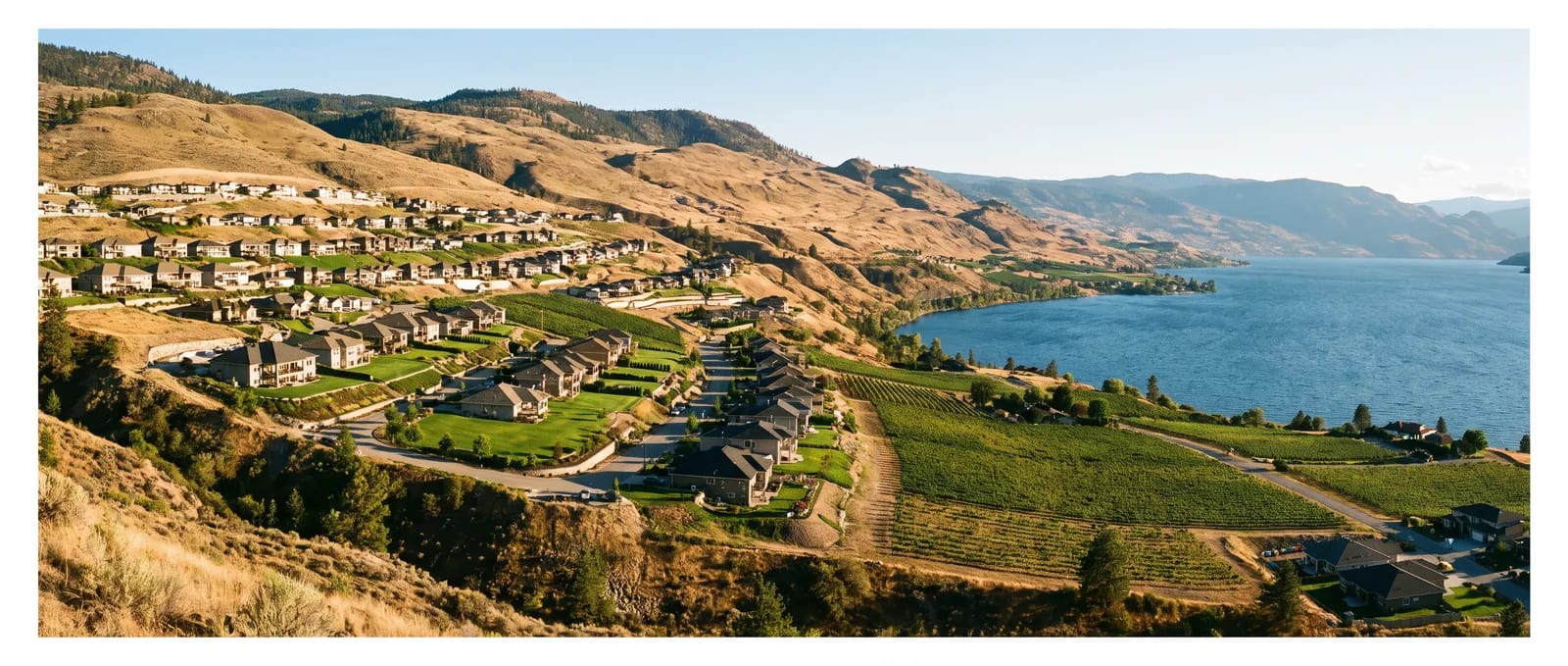 Illustration of terraced west-facing slopes above Okanagan Lake in West Kelowna